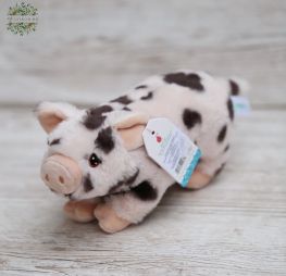 flower delivery Budapest - spotted plush pig 18cm