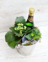 flower delivery Budapest - New year's small plant arrangement with sparkling wine (2dl)