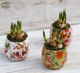 flower delivery Budapest - Narcissus with flower pattern pot 10cm wide 1 piece!