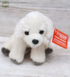flower delivery Budapest - Plush labrador (13cm)