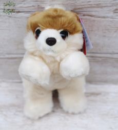 Virágküldés Budapest - Plüss pomerániai (25cm)