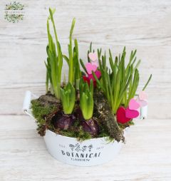 Virágküldés Budapest - Tavaszi összeültetés bádog edényben