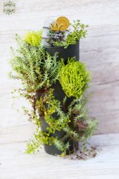 Virágküldés Budapest - Sedum torony 