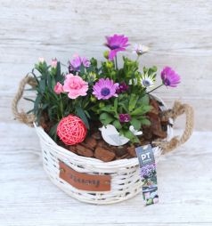 flower delivery Budapest - Pink flower basket with bird, for balcony