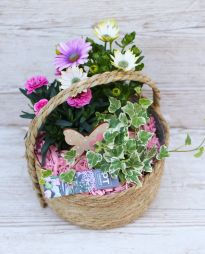 flower delivery Budapest - Pink may basket with balcony plants