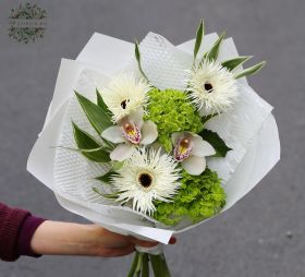Virágküldés Budapest - Zöld hortenziák orchideával, pók gerberával