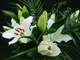 Blumenlieferung nach Budapest - 5 Stiele der weißen orientalischen Lilien (40cm)