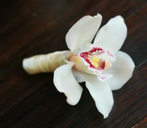 Virágküldés Budapest - Vőlegény kitűző orchideából (fehér)