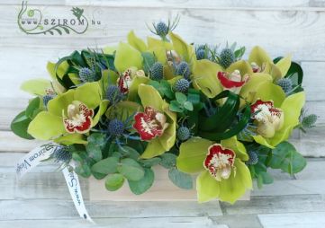flower delivery Budapest - 10 green orchids in natural wooden box with eryngium