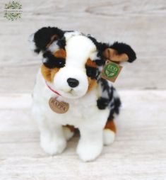 flower delivery Budapest - Plush Australian Shepherd (30cm)