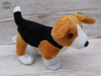 Virágküldés Budapest - Plüss beagle (15cm)