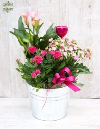 flower delivery Budapest - Flowering plant arrangement pink