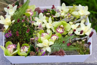 Virágküldés Budapest - Virágbox, mohás erdei táj orchideákkal, apró virágokkal