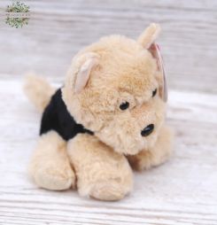 Virágküldés Budapest - Plüss cairn terrier (14 cm)
