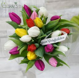 flower delivery Budapest - 20 mixed tulips hand tied bouquet