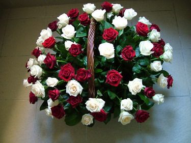 80 stems of roses (red and white)
