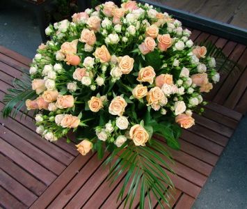 Pfirsich-Rosen, Mini-Rosen in einem Korb (60 Stämme, 1m)