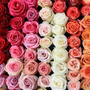 rózsák a virágboltban