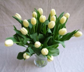 20 szál tulipán vázában