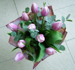 10 tulips with eucaliptus