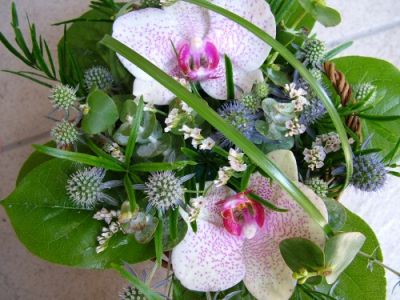 Orchideenkorb (zwei Blüten)