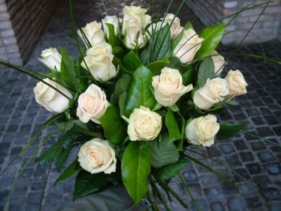 20 white roses in a round bouquet