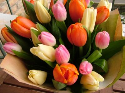 30 tulips in a round bouquet