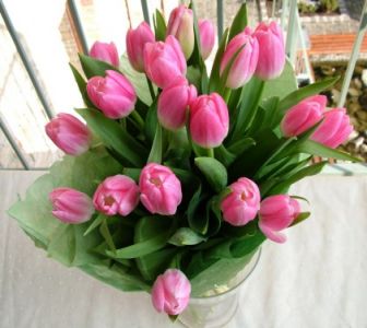 20 tulips in a round bouquet