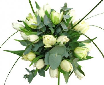 bouquet of 20 white tulips with eucaliptus