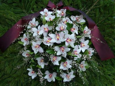 nagy álló koszorú fehér orchideából, genisztával (120cm)