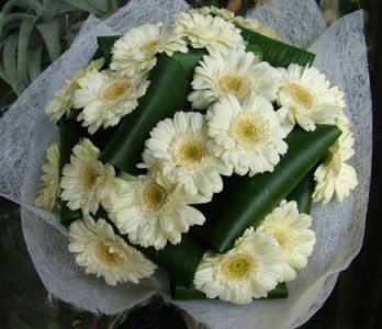 gerbera sympathy bouquet