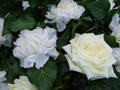 fehér szegfű dombkoszorú, fehér rózsával (1m)