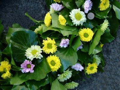 ivy wreath with three different kinds of chrysanthemums (60 cm)