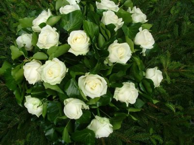 dome wreath with 20 white roses (1 m)