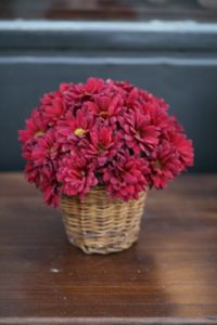 small basketful of chrysanthemums (30 cm)