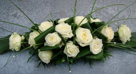 bier arrangement of  roses  (70cm)