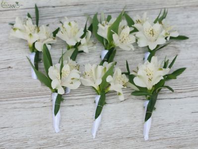kitűző (alstromeria, fehér) 1 db