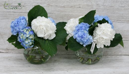 Asztaldísz 1db ( hortenzia, fehér, kék ), esküvő 1db