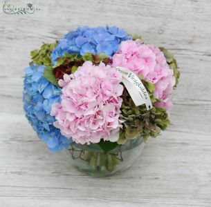 Asztaldísz (hortenzia, kék, rózsaszín), esküvő