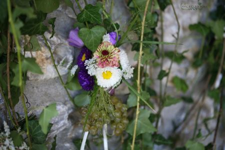 borászati stílusú füzérek szőlővel, őszirózsával, apró virágokkal Bélapátfalva (lila), esküvő