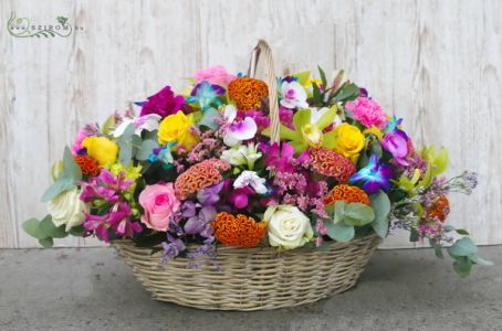 Rainbow flowerbasket with orchids (63 stems)