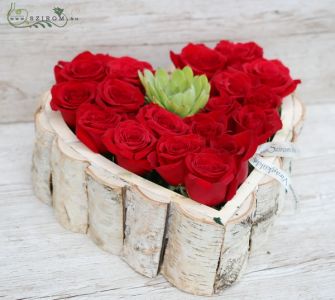 Holzrindenherz mit roten Rosen und Echeveria (37 cm, 19 Stiele)