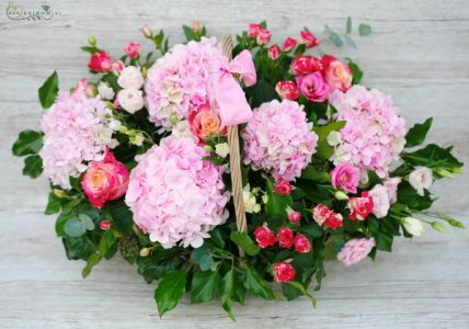 Big hydrangea basket