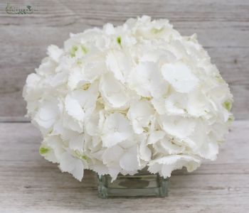 Wedding centerpiece white hydrangea in glass ball