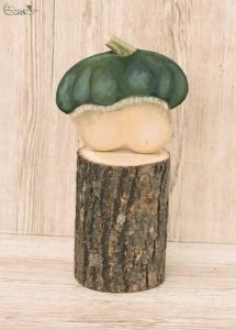 Wooden squash(35cm)