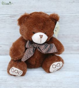 Plüsch Teddy 20cm