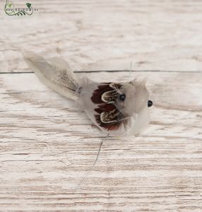 Grauer Vogel