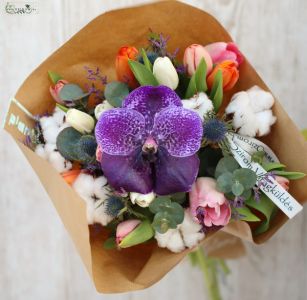 Vegyes tulipáncsokor vanda orchideával, gyapot virággal
