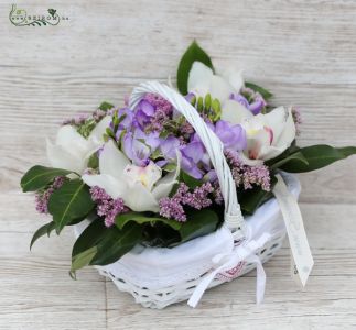 White orchid basket with small flowers (12 stems)
