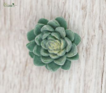 Ceramic succulent 4,5 cm